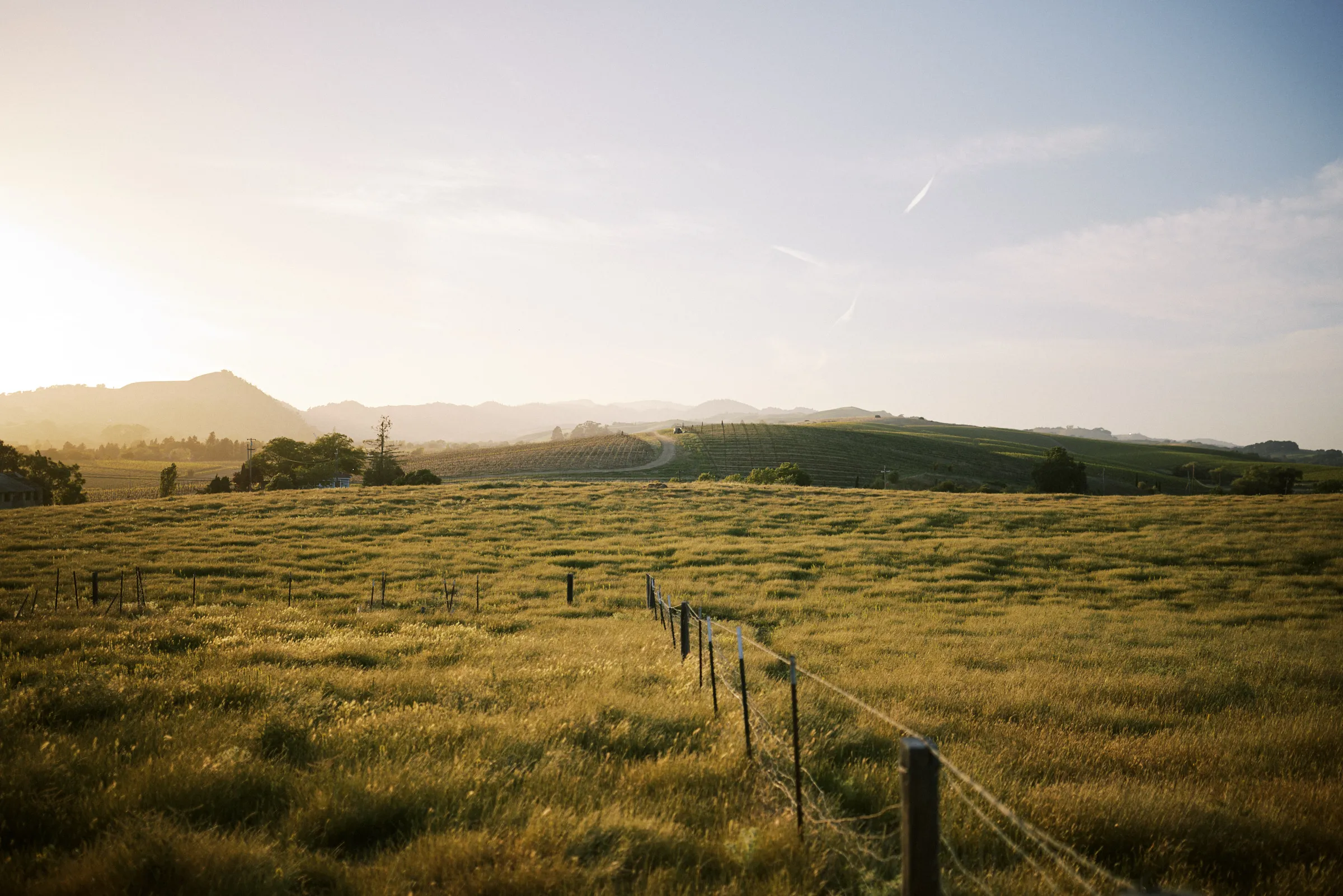 A fence line crossing golden hills at last light