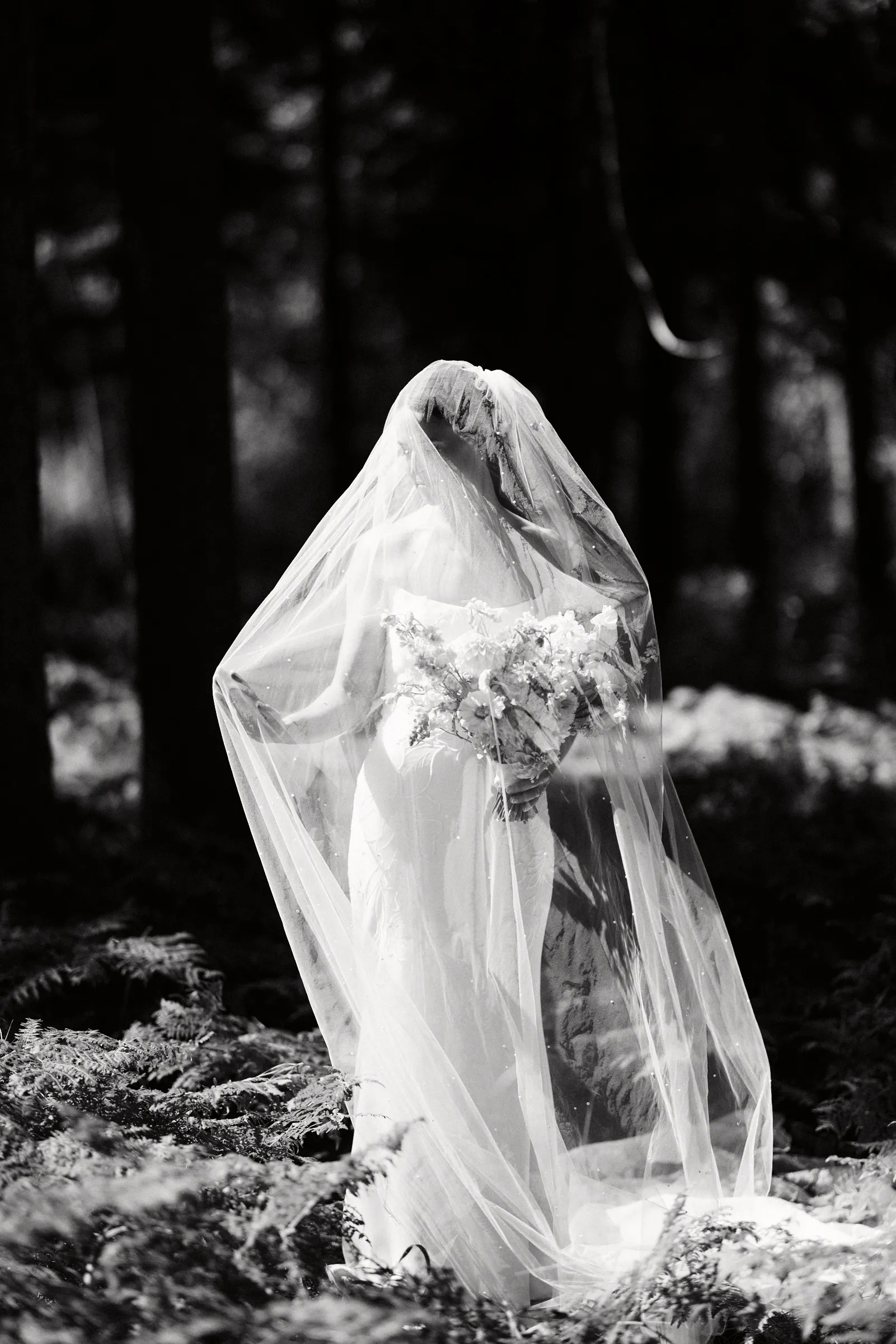 The bride veiled among the pines, in black and white